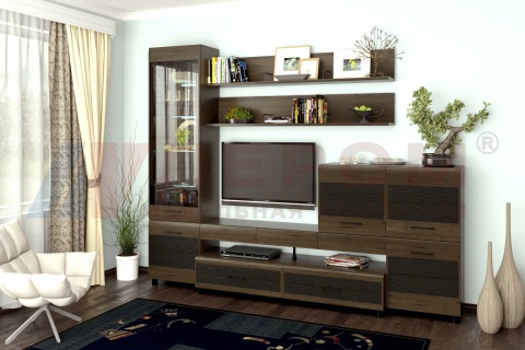 Гостиная-Стенка Камелия №5 (В-2172 х Ш-2700 х Г-452 мм)