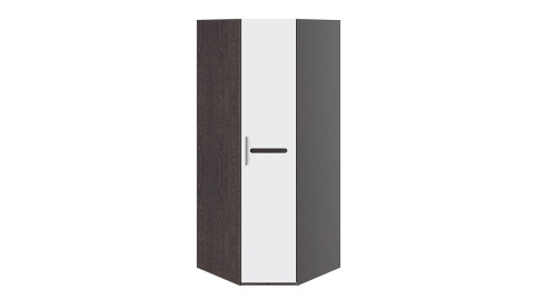 Шкаф угловой с 1-ой глухой дверью «Фьюжн» Белый Глянец/Венге Линум