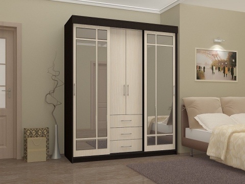 Шкаф-Купе Модрест (Ш-1700 × В-2220 × Г-574 мм)/Разные Цвета